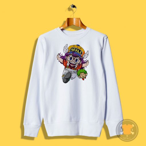 Dr Sweatshirt