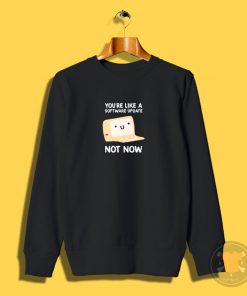 Software Update Sweatshirt