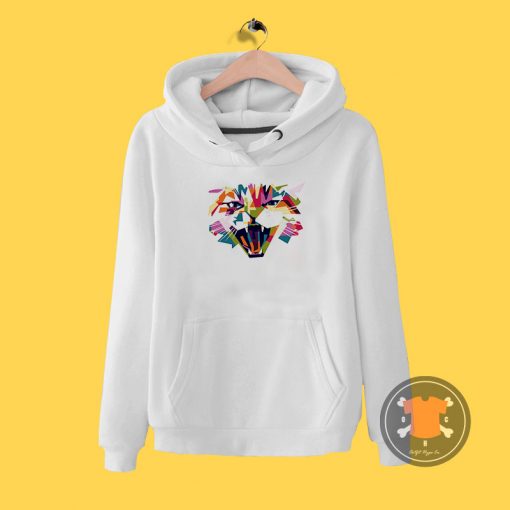 Cat 2D Colorfull Hoodie