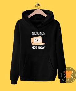 Software Update Hoodie