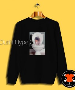 Doja Cat Toilet Meme Sweatshirt