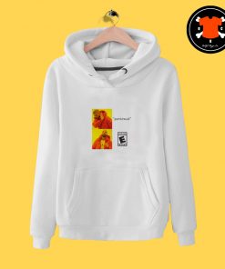 Pansexual Drake Meme Hoodie