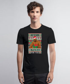 Barry Wood I Have A Big Package For You Christmas Ugly T Shirt