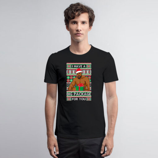 Barry Wood I Have A Big Package For You Christmas Ugly T Shirt